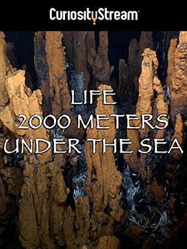 两千米深海生命 Life 2000 Meters Under The Sea (2014) - 毒蛇电影