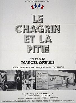 悲哀和怜悯 Le chagrin et la pitié (1969) - 毒蛇电影