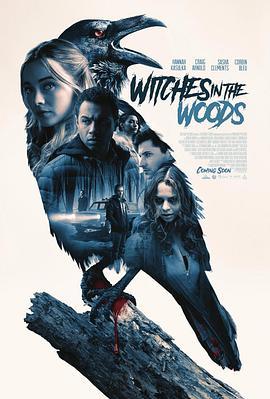 森林中的女巫 Witches in the Woods (2019) - 毒蛇电影