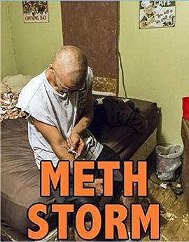 冰毒风暴 Meth Storm (2017) - 毒蛇电影