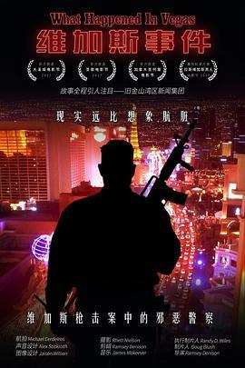 维加斯事件 What Happened in Vegas (2017) - 毒蛇电影