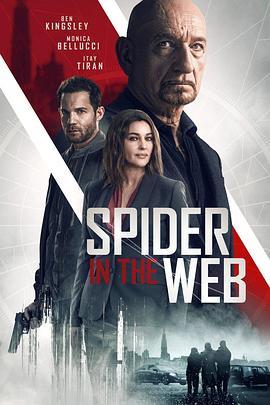 网中蜘蛛 Spider In The Web (2019) - 毒蛇电影