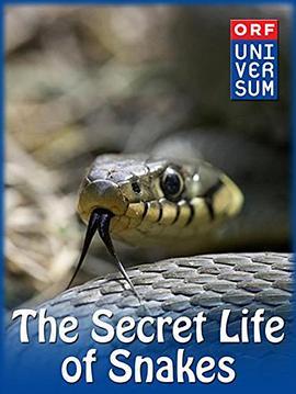 蛇的秘密生活 The Secret Life of Snakes (2016) - 毒蛇电影