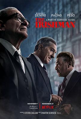 爱尔兰人 The Irishman (2019) - 毒蛇电影