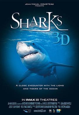 鲨鱼3D Sharks 3D (2004) - 毒蛇电影