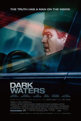 黑水 Dark Waters (2019) - 毒蛇电影