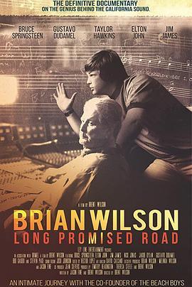 布莱恩·威尔逊：漫长的承诺之路 Brian Wilson: Long Promised Road (2021) - 毒蛇电影