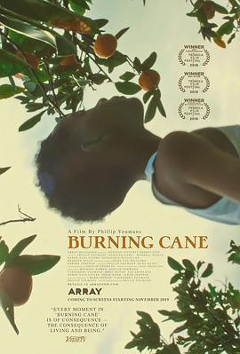 燃烧的甘蔗 Burning Cane (2019) - 毒蛇电影