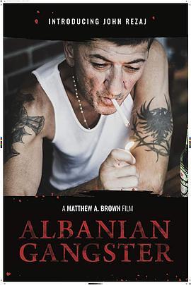 阿尔巴尼亚黑帮 Albanian Gangster (2018) - 毒蛇电影