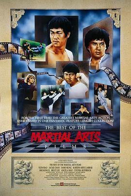 金装武术电影大全 The Best of the Martial Arts Films (1990) - 毒蛇电影