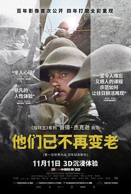 他们已不再变老 They Shall Not Grow Old (2018) - 毒蛇电影