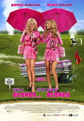 金发尤物 Blonde and Blonder (2007) - 毒蛇电影