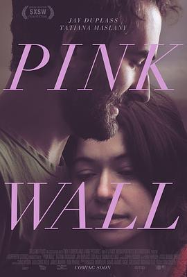 迷粉爱墙 Pink Wall (2019) - 毒蛇电影