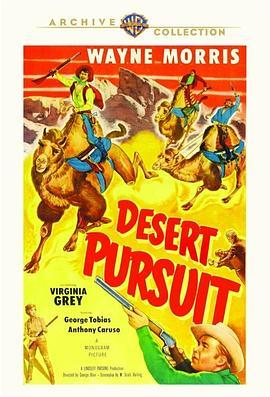 沙漠追逐 Desert Pursuit (1952) - 毒蛇电影