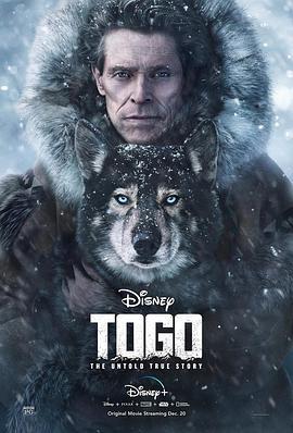 多哥 Togo (2019) - 毒蛇电影