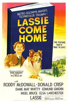 灵犬莱西 Lassie Come Home (1943) - 毒蛇电影