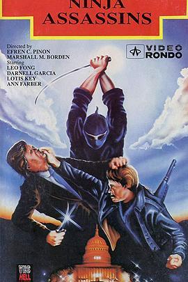 忍者刺客 Ninja Assassins (1978) - 毒蛇电影