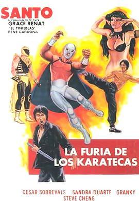 空手道杀手之怒 La furia de los karatecas (1982) - 毒蛇电影