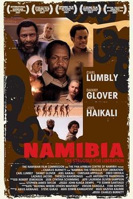 纳米比亚：争取解放的斗争 Namibia: The Struggle for Liberation (2007) - 毒蛇电影