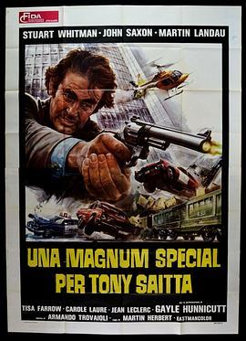 托尼复仇 Una Magnum Special per Tony Saitta (1976) - 毒蛇电影