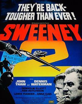 除暴安良2 Sweeney 2 (1978) - 毒蛇电影