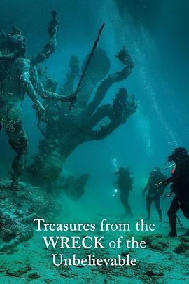 碧海寻宝记 Treasures from the Wreck of the Unbelievable (2018) - 毒蛇电影