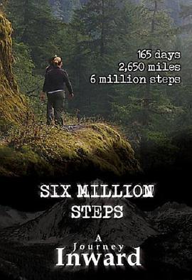 向内的旅程 Six Million Steps: A Journey Inward (2011) - 毒蛇电影