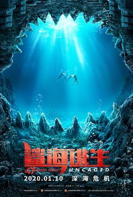 鲨海逃生 47 Meters Down: Uncaged (2019) - 毒蛇电影