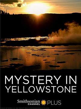 黄石公园之谜 黄石公园之谜 Mystery in Yellowstone (2015) - 毒蛇电影