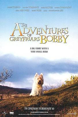 新绿野小英雄 The Adventures of Greyfriars Bobby (2005) - 毒蛇电影