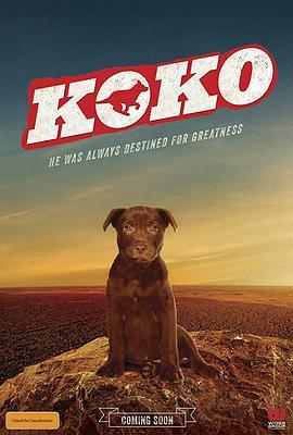 Koko:红犬历险记 Koko: A Red Dog Story (2019) - 毒蛇电影