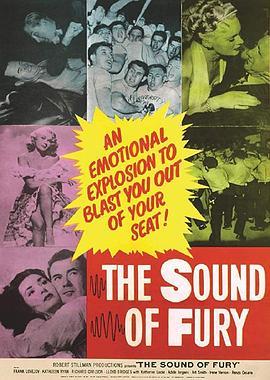 愤怒之声 The Sound of Fury (1950) - 毒蛇电影