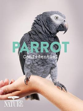 自然世界：解密鹦鹉 Parrot Confidential (2013) - 毒蛇电影