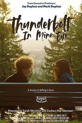 我眼中的电闪雷鸣 Thunderbolt In Mine Eyes (2020) - 毒蛇电影