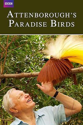 爱登堡的极乐鸟世界 Attenborough's Paradise Birds (2015) - 毒蛇电影