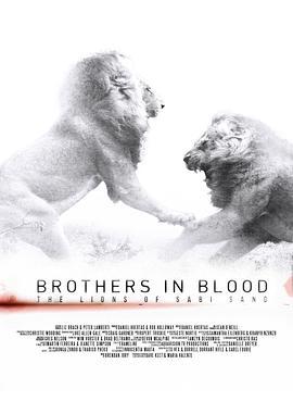 狮王之路 Brothers in Blood: The Lions of Sabi Sand (2015) - 毒蛇电影