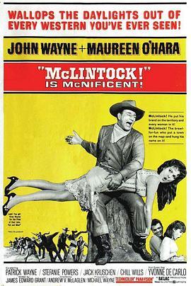 铁汉雌虎 McLintock! (1963) - 毒蛇电影