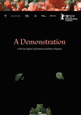 一次展示 A Demonstration (2020) - 毒蛇电影