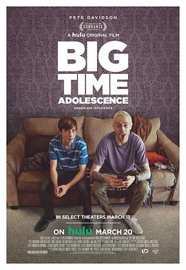 超级青春期 Big Time Adolescence (2019) - 毒蛇电影