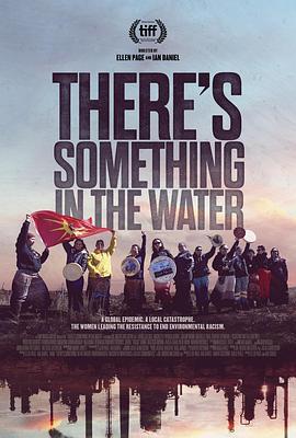 毒水：环境种族主义 There's Something in the Water (2019) - 毒蛇电影