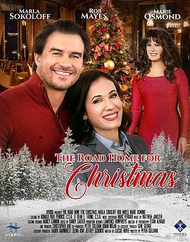 The Road Home for Christmas  (2019) - 毒蛇电影