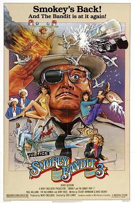 横冲直撞斗飞车 III Smokey and the Bandit III (1983) - 毒蛇电影