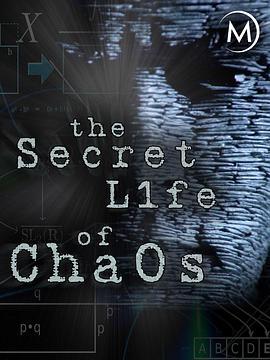 神秘的混沌理论 The Secret Life of Chaos (2009) - 毒蛇电影