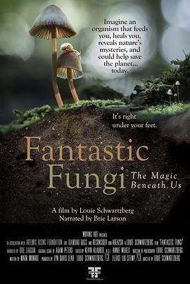 神奇的真菌 Fantastic Fungi (2019) - 毒蛇电影