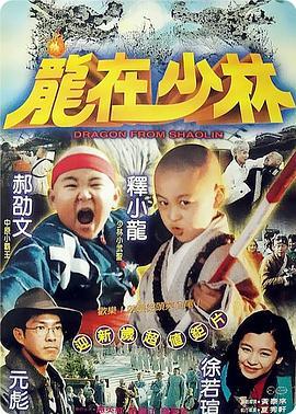 龙在少林 龍在少林 (1996) - 毒蛇电影