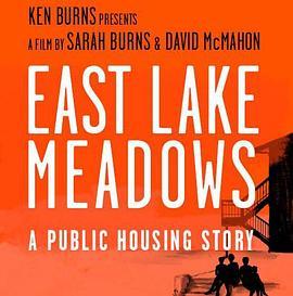 东湖草地：一个关于公共住房的故事 East Lake Meadows: A Public Housing Story (2020) - 毒蛇电影