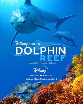 海豚礁 Dolphin Reef (2020) - 毒蛇电影