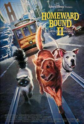 看狗在说话之旧金山历险记 Homeward Bound II: Lost in San Francisco (1996) - 毒蛇电影