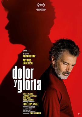 痛苦与荣耀 Dolor y gloria (2019) - 毒蛇电影