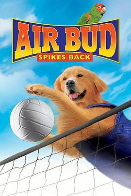 飞狗巴迪5：排球健将 Air Bud: Spikes Back (2003) - 毒蛇电影